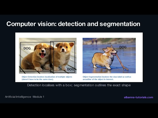AI is everywhere | AI Module 1, Lesson 1