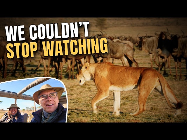 First Time on Safari: Expectation vs Reality