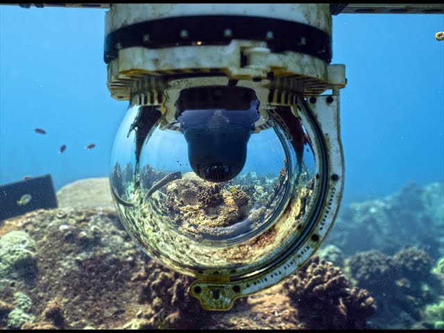 Aqualink | MEGA Lab | Hawaii live stream