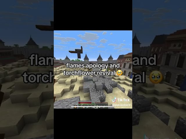 Flames emotional moment #flamfrags #unstable #minecraft #wemmbu #thelaw #mcyt
