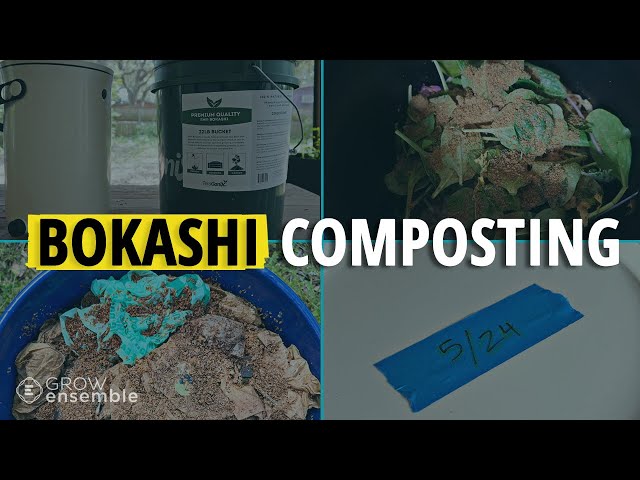 A Comprehensive Guide to How (& Why) to Do Bokashi Composting