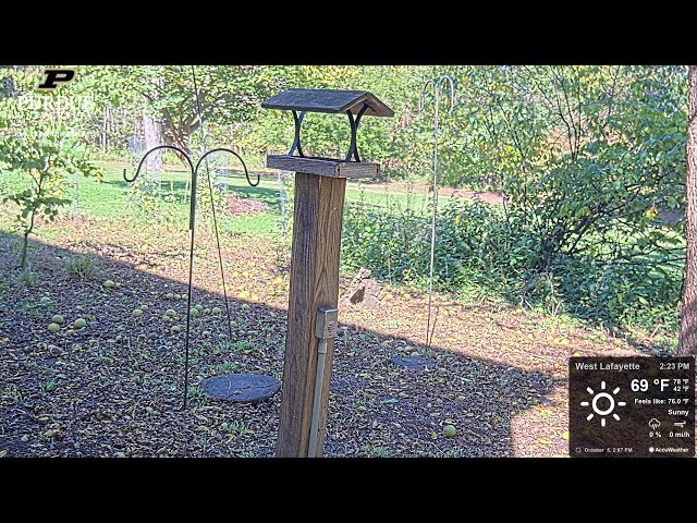West Lafayette Parks and Recreation Livestream of Birding