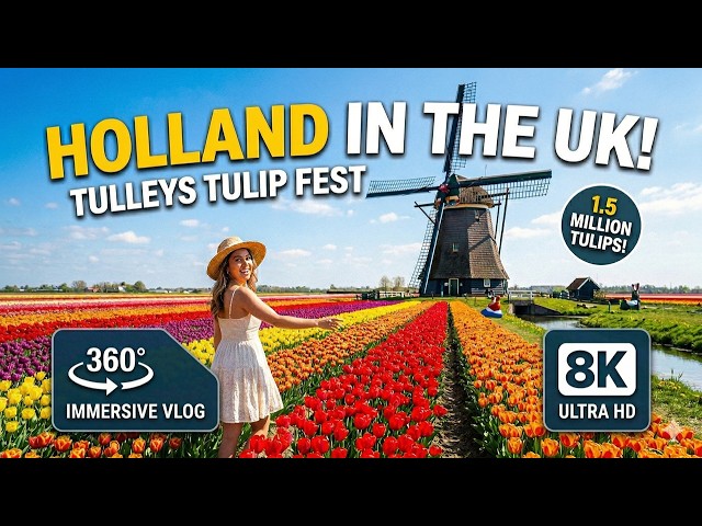 360° VR Experience Holland in the UK! - Spring at Tulleys Tulip Fest
