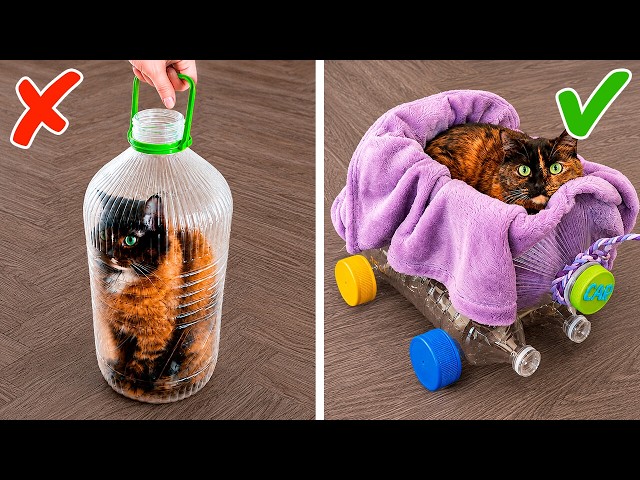 I made 7 DIY toys for my pets… here’s what happened 😍 #diy