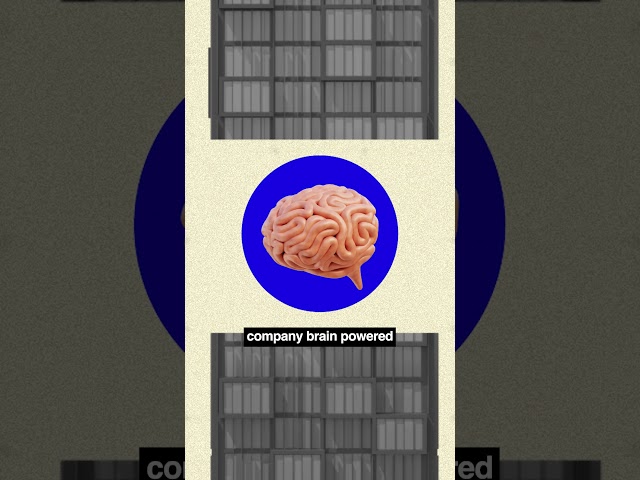 The Future of AI? One Company Brain