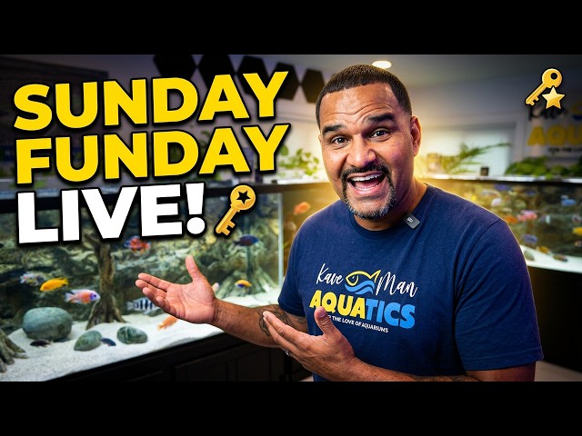 Weekly FishKave Sunday Funday! 💦