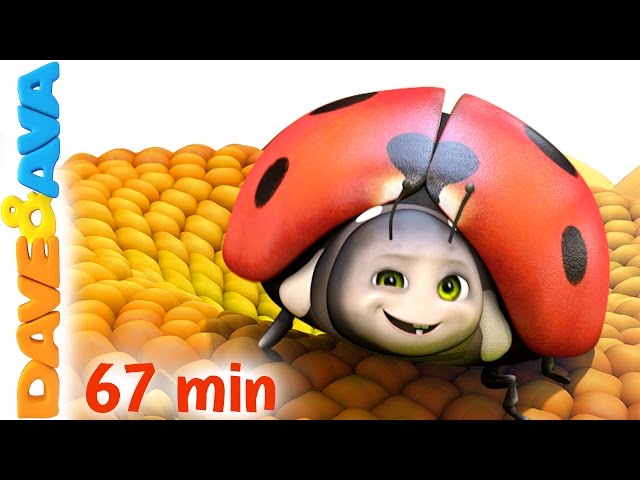 🐞 Five Little Ladybugs | Nursery Rhymes Collection and Kids Songs from Dave and Ava 🐞