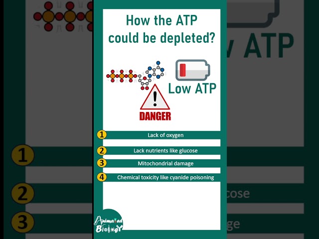 ATP depletion and cell injury | why ATP is so important ? pathology