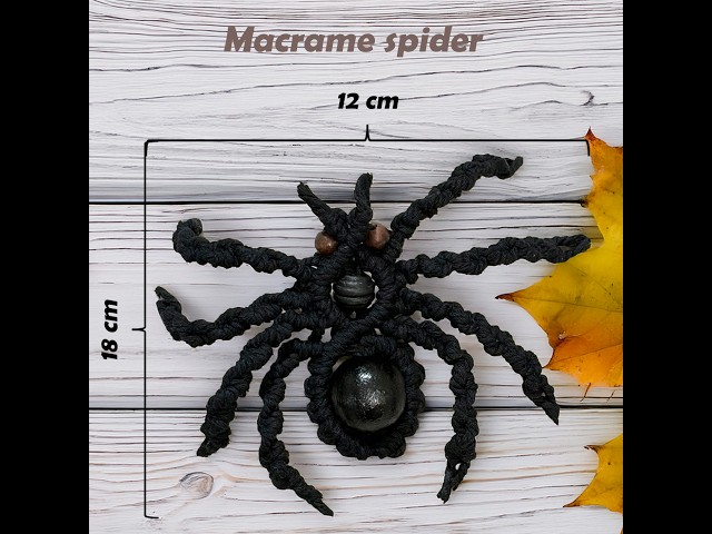 DIY Macrame Spider Tutorial | Easy Halloween Decoration | Step-by-Step Macrame Spider
