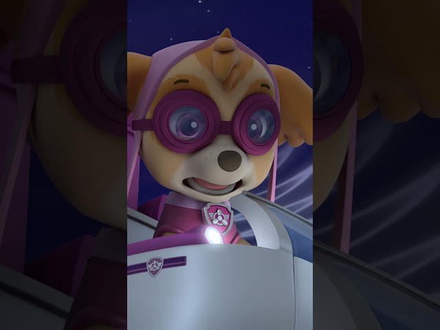 Never Skateboard in the Dark 🛹 #PAWPatrolShorts #SkyePAWPatrol