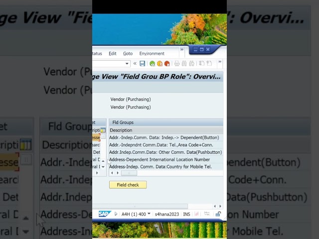 ✅️ Create BP in SAP