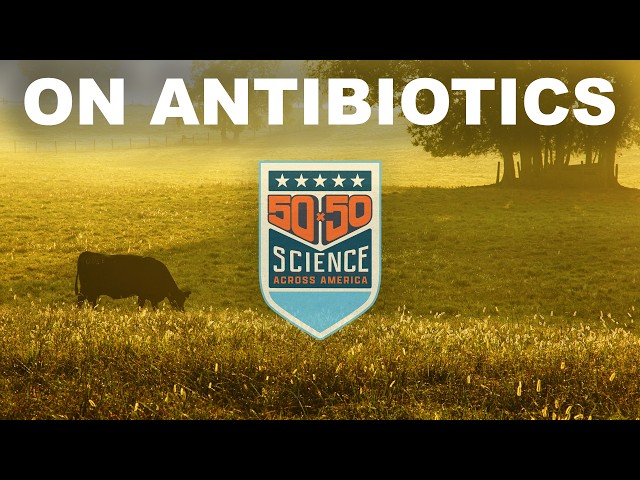 How we stop overusing antibiotics (one solution is PLANTS?)