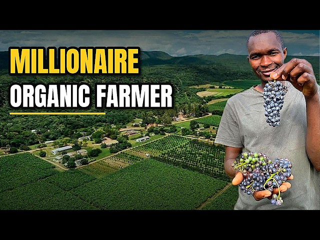 HE LEFT COMPUTER SCIENCE FOR ORGANIC FARMING AND NOW MAKES MILLIONS| Inside Zambia’s 60-Hectare Farm
