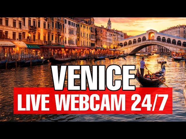 🔴 VENICE LIVE 24/7 With Piano Music | SkylineWebcams