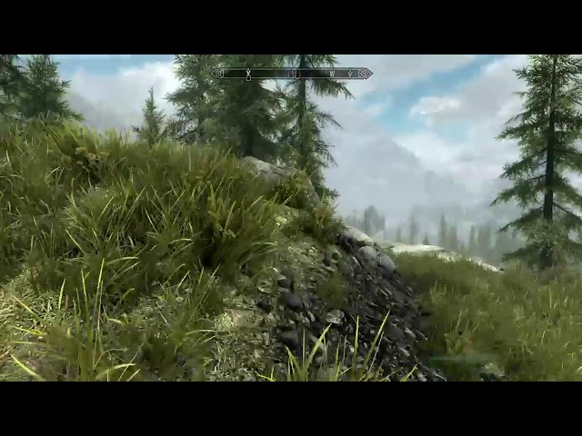 SKYRIM LIVE - not me