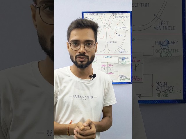 Working of the Human Heart(class 10 biology) #learningsector