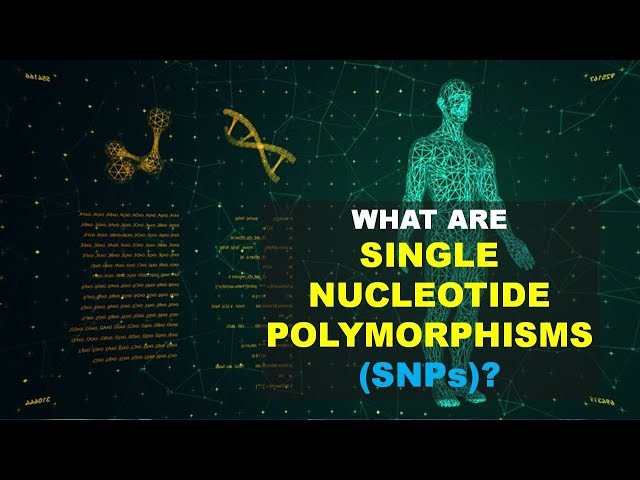 SNPs (Single Nucleotide Polymorphism)0 (Better Explained)