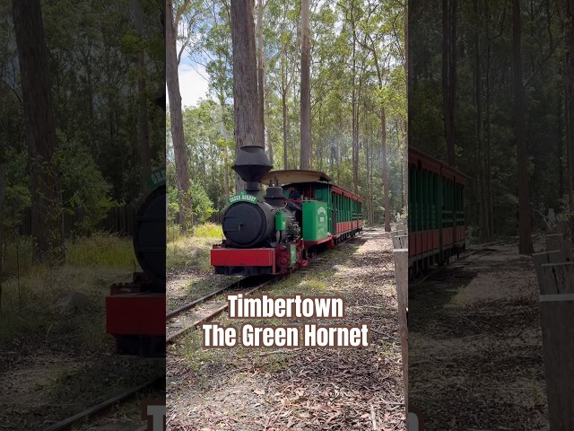 Timbertown - The Green Hornet Steam Train #shorts #travel #urbanexploration