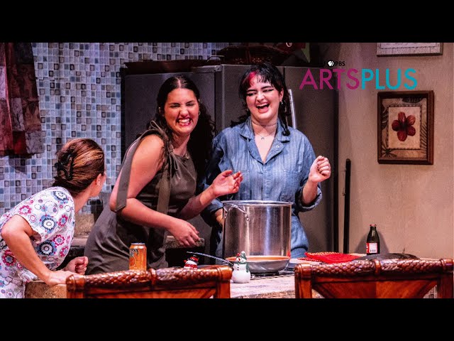 Stageworks Theatre | 40 Years | WEDU Arts Plus