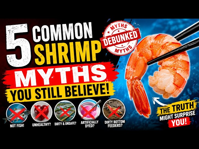 5 Shrimp Myths You Still Believe (Debunked!)