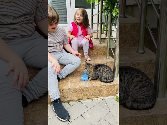 Cat came back Home | Gerti #Shorts