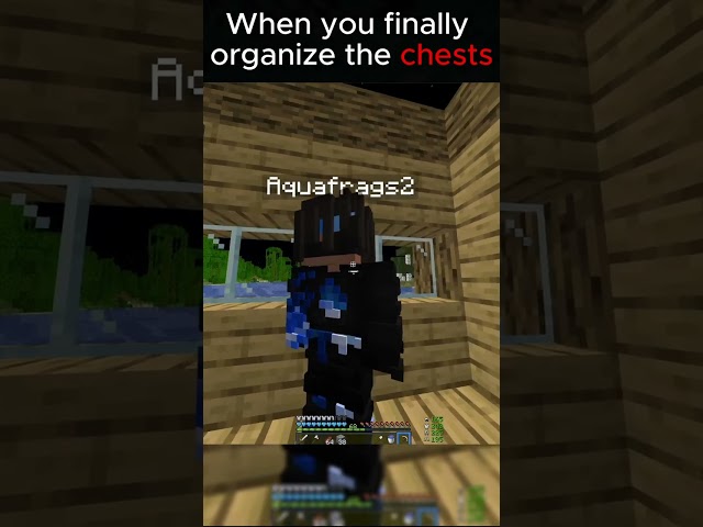 When you Finally organize the chests
