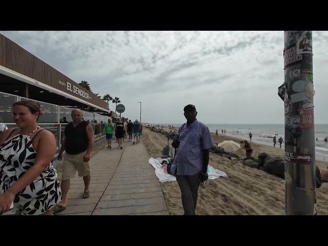 Around the Faro...