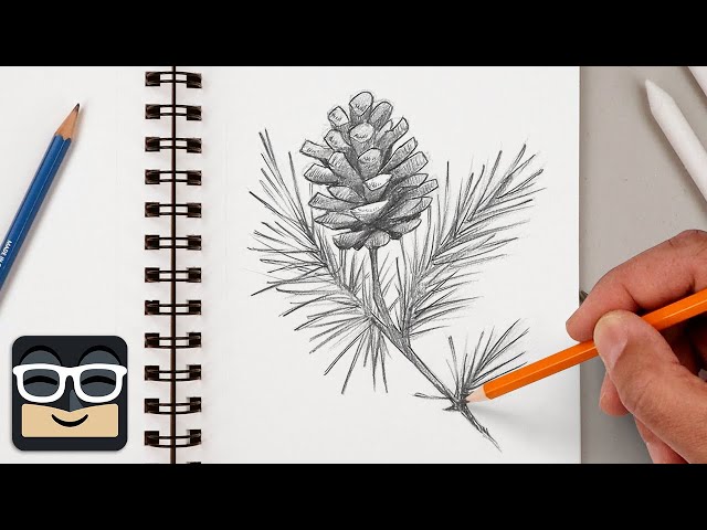 How to Draw a Realistic Pine Branch | Step by Step Sketch Tutorial