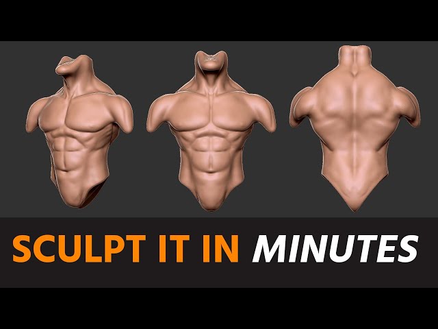 Sculpting Torso in Minutes - ZBrush