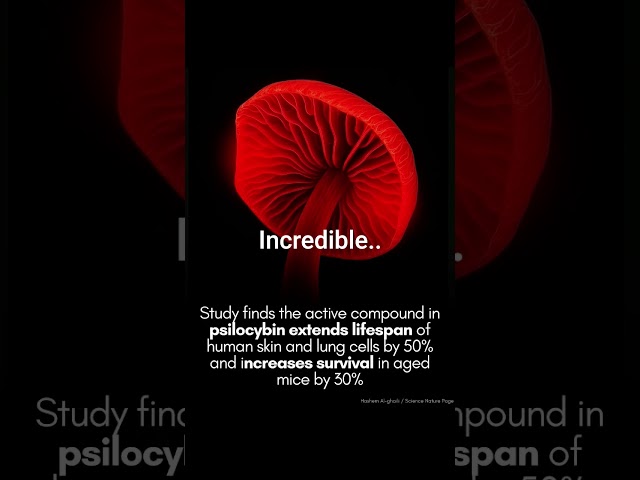 magic of magic fungus, used for extending lifespan up to 30%, proved
