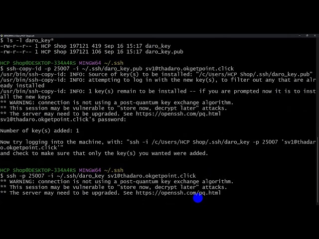 Demo SSH SERVER with Domain Name