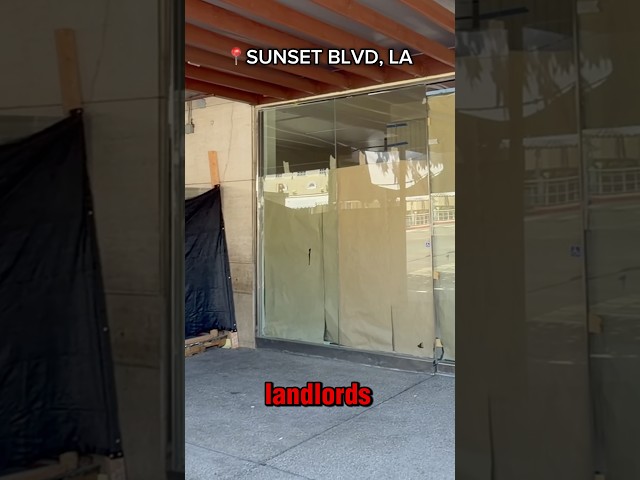 POV: you barely recognize the Sunset Strip anymore.. 😳😢😵‍💫🤯 #losangeles #ebike #pov #sunsetblvd