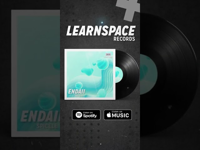 Endaii - Spicele (Original Mix) | Learnspace Records 006