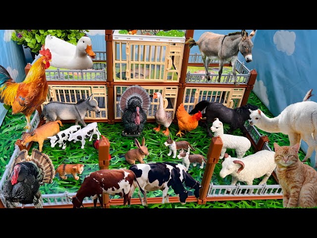 Barn Animals in the Amazing Zoo | Farm Animals | Toy Animals for Kids | Cows, Sheep, Roosters |