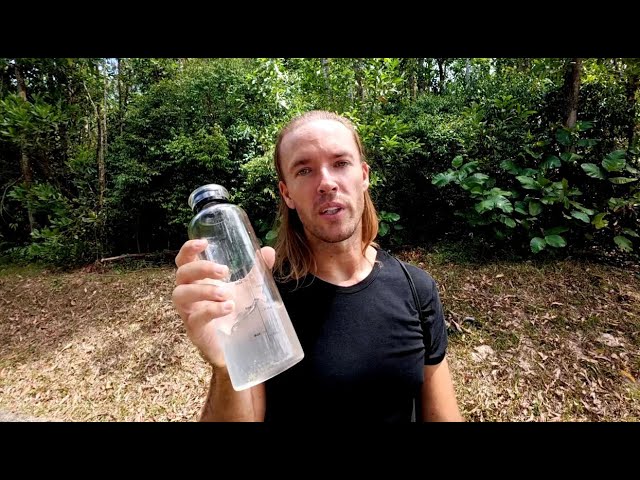 What I Eat in a Day 2025 (Zero Stress Life)
