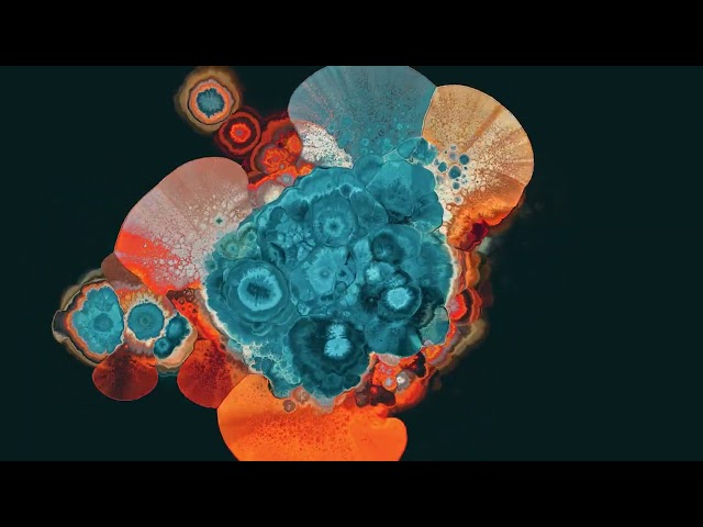 Joris Voorn - Particle [Official Visualiser]