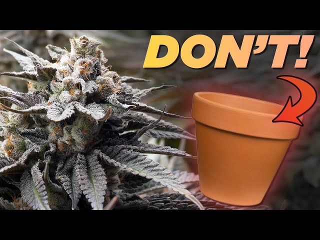 5 Quick Tips for Improved Soil Health!