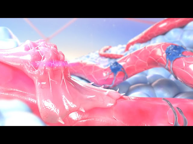 The Pathogenic Manipulation of Actin