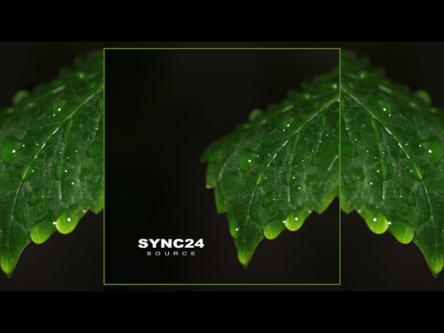 Sync24 - Replicant | Chill Space