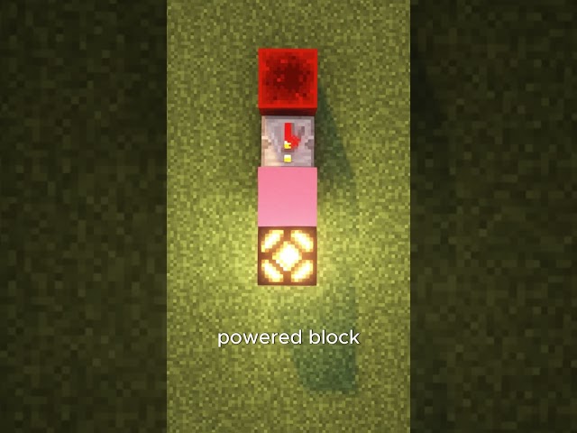 Day 23 of explaining every #minecraft #redstone item | Redstone Lamp #shorts #lamp #tutorial #craft