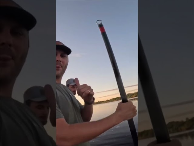 HUGE ALLIGATOR CAPTURED! 7/20 #viral #short #youtubeshorts #shorts #viralvideo #youtube #shortvideo