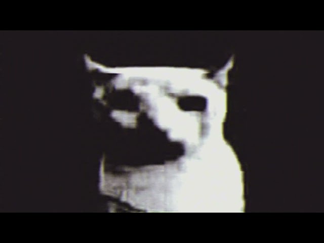 ​