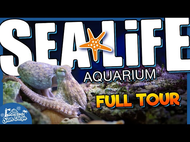 SEA LIFE Aquarium Carlsbad FULL TOUR | LEGOLAND California 2026