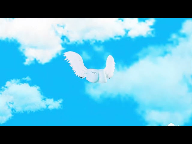 BRUJA - CURU' SUS feat. Super ED (Visualizer)