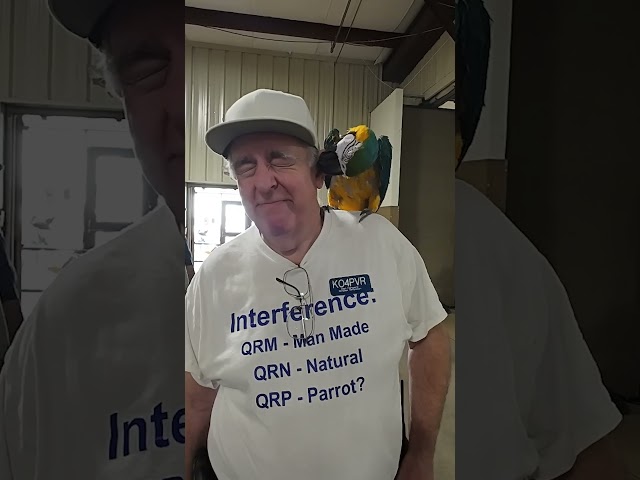 Peanut the QRP Parrot #hamcation 2024