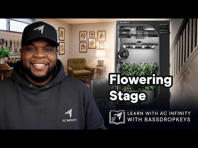 Flowering Stage | Cannabis Growing with Bassdropkeys | Ep. 4