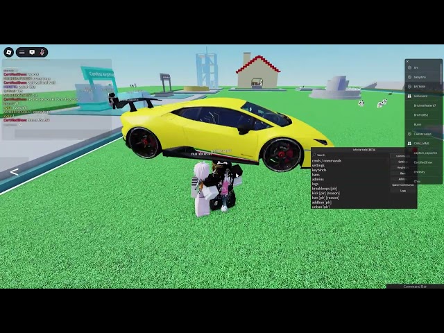 I got access to the roblox Vulnerability..