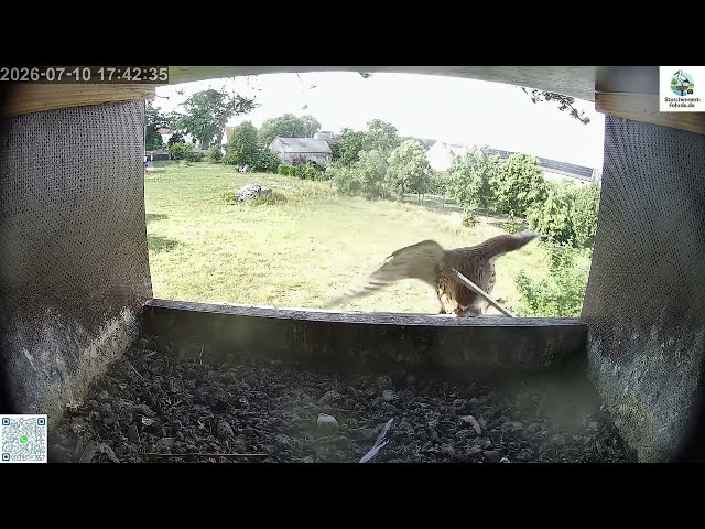 Maus am Stiel - 10.07.2026 -Turmfalken Fohrde