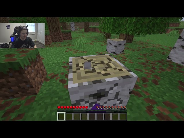 minecraft java but i am a bedrock player