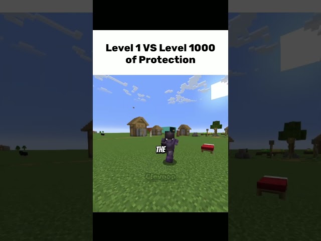 Level 1 VS Level 1000 of Protection